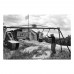 Antonis Pasvantis - Evros: Life on the Banks (Signed)