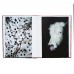 Ela Polkowska - Splinter ((Selected by Photometria Photobook 2026)) Ela Polkowska - Splinter ((Selected by Photometria Photobook 2026))