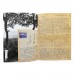 Hanno Ketterer - Love Letters From the War