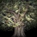 Irene Kung - Trees