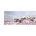 Jim Naughten – Eremozoic Jim Naughten – Eremozoic