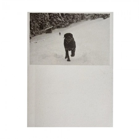Viridiana Morandini - POGO (Selected by Photometria Photobook 2026))