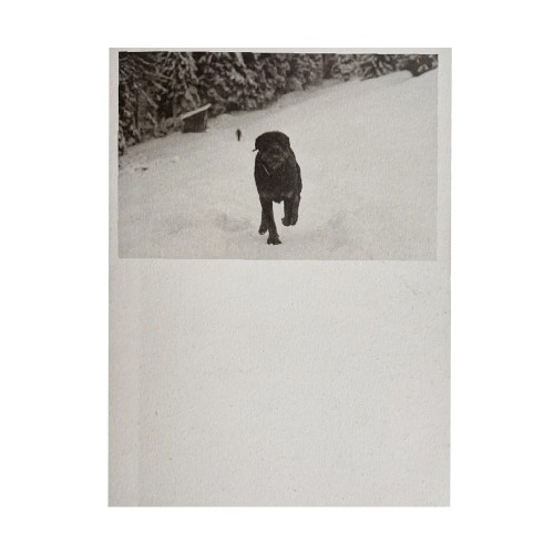 Viridiana Morandini - POGO (Selected by Photometria Photobook 2026)) Viridiana Morandini - POGO (Selected by Photometria Photobook 2026))
