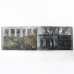 Rea Papadopoulou - Dark Tree Rea Papadopoulou - Dark Tree