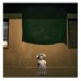 George Vogiatzakis-Residents