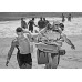 Joseph Szabo - Lifeguard